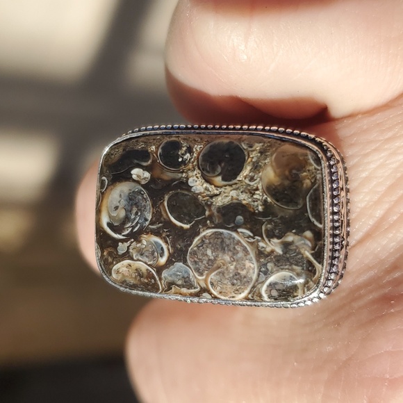 New Turritella Agate Fossil 925 Silver Ring. - Picture 16 of 16